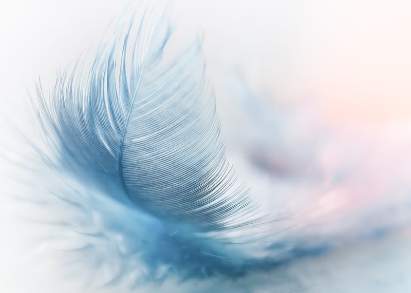 Mysterious Feather